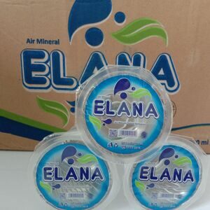 CEK BPOM Air Minum Dalam Kemasan (Air Mineral) Elana
