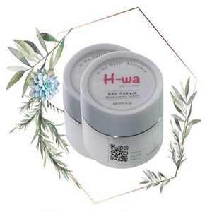 Cek Bpom Day Cream Brightening Series H-wa