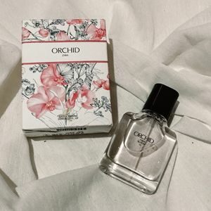 Cek Bpom Orchid Eau De Parfum Zara