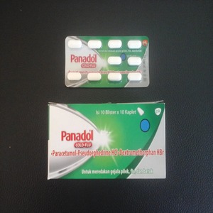 Cek Bpom Panadol Cold + Flu