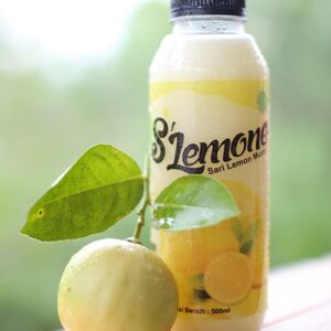 Cek Bpom Sari Buah Lemon Slemone