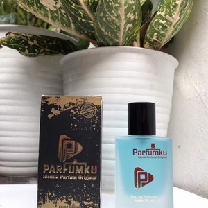 Cek Bpom Vision Parfumku